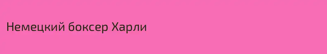 Немецкий боксер Харли